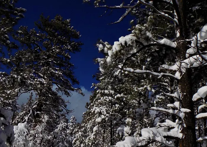 Holiday home Cozy Mountain With Deck And Firepit-1 Mile From Downtown Flagstaff! *