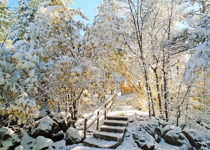 Cozy Mountain With Deck And Firepit-1 Mile From Downtown Flagstaff! *