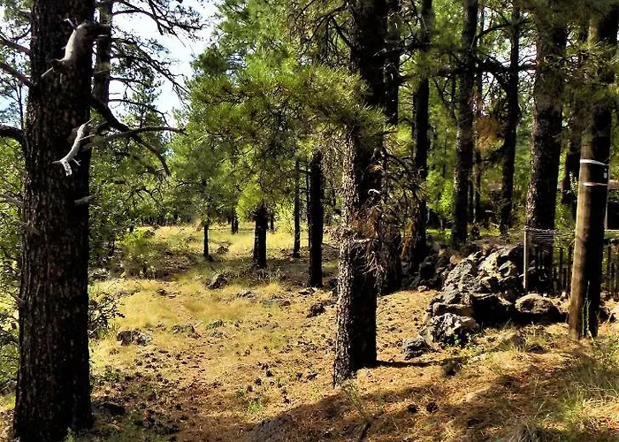 Cozy Mountain With Deck And Firepit-1 Mile From Downtown Flagstaff! * Flagstaff