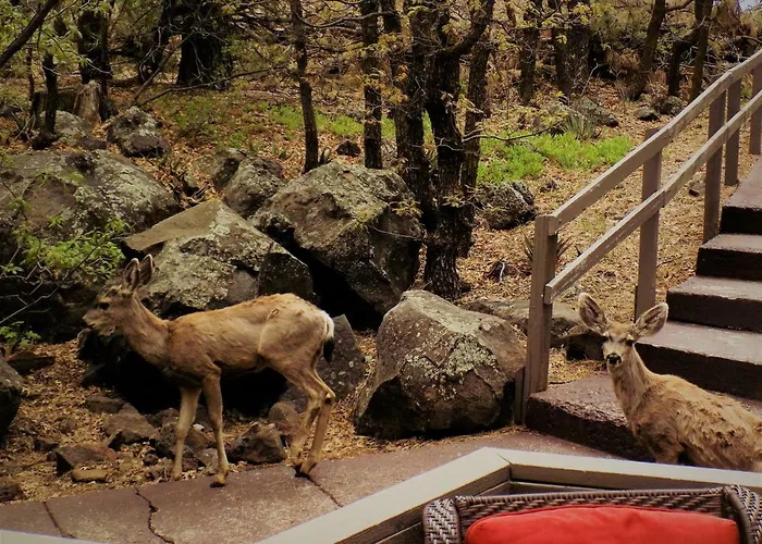 Holiday home Cozy Mountain With Deck And Firepit-1 Mile From Downtown Flagstaff!